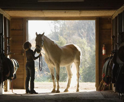 horse tack woman with horse